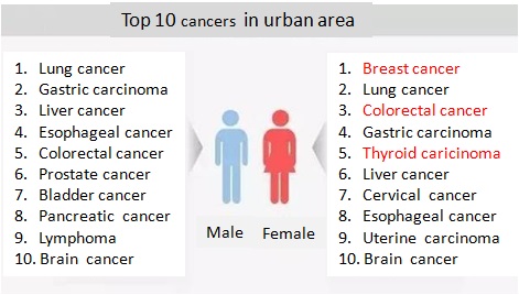 资料来源：国家癌症中心